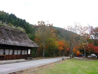 20131030_112020.jpg