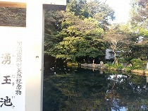 s-20130919_164110.jpg