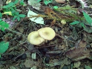 s2012-10-09 11.01.23.jpg