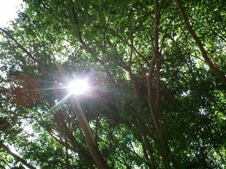 s2012-10-09 11.06.25.jpg